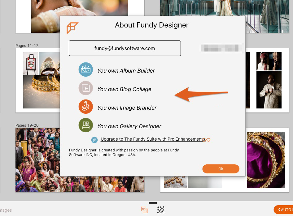 Fundy Designer Assista Agora - Y8.com